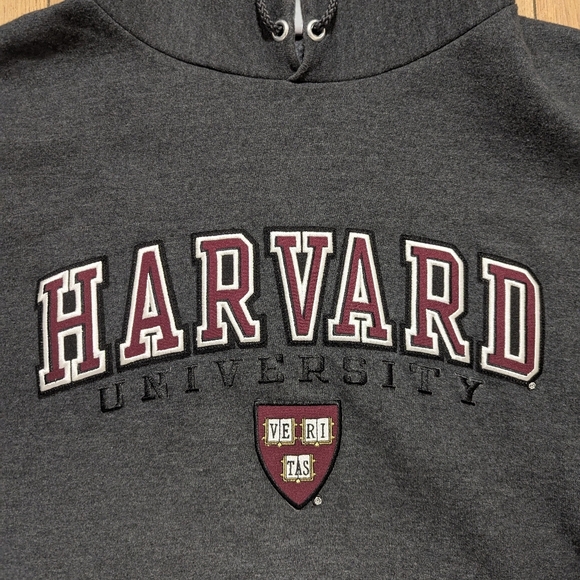 Vintage Champion Medium Faded Harvard University Spell Out Hoodie Sweatshirt - Picture 4 of 4